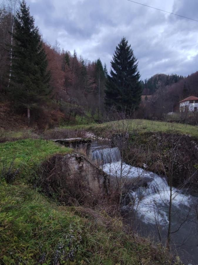 Zlatarska Dolina Acomodação com café da manhã Nova Varoš Exterior foto