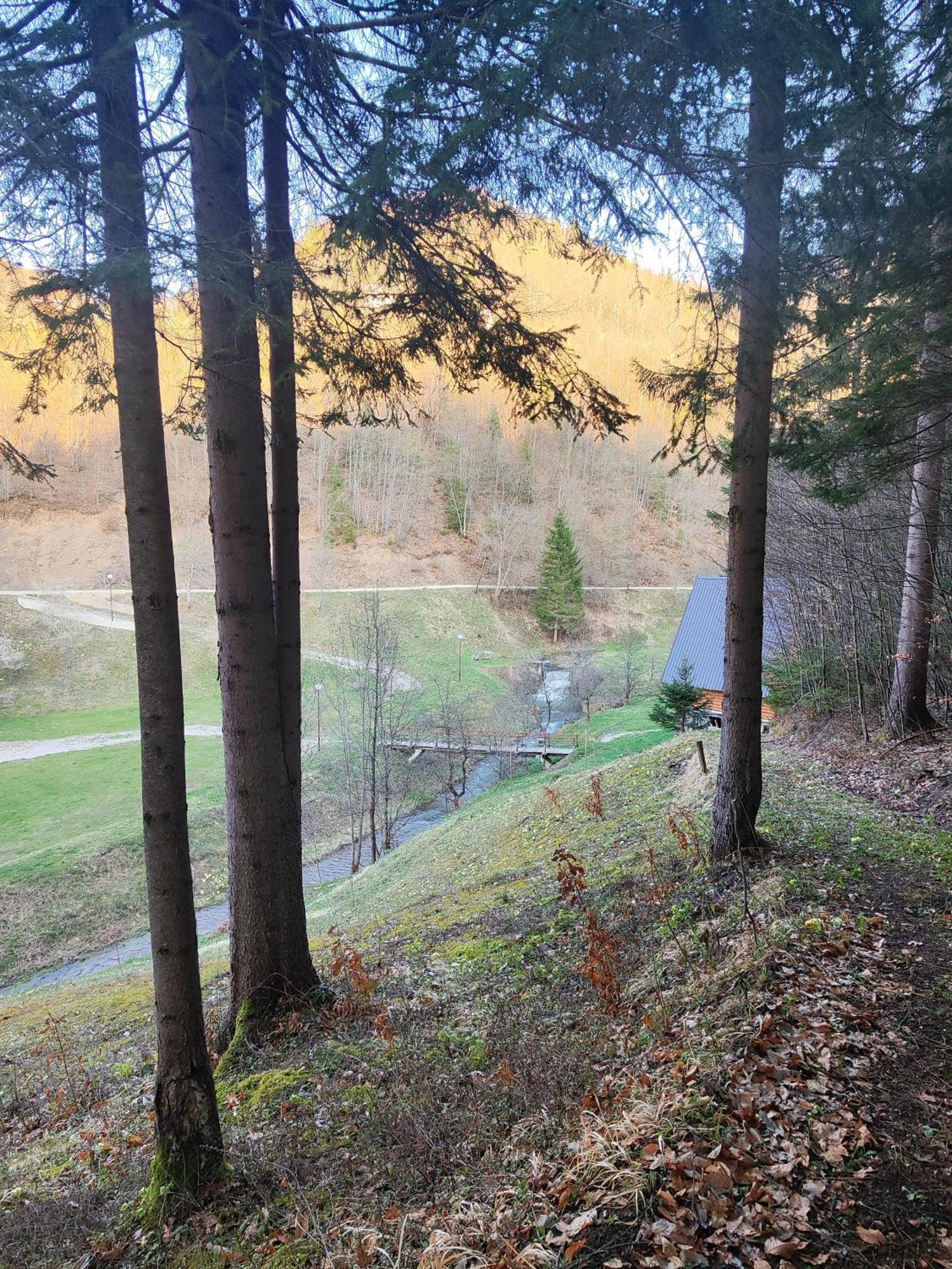 Zlatarska Dolina Acomodação com café da manhã Nova Varoš Exterior foto